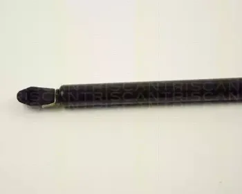 triscan-87102407