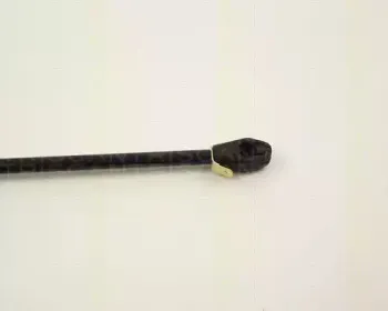 triscan-87102407