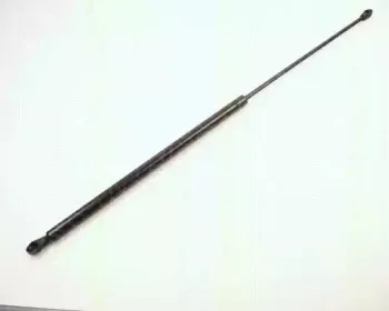 triscan-87102409