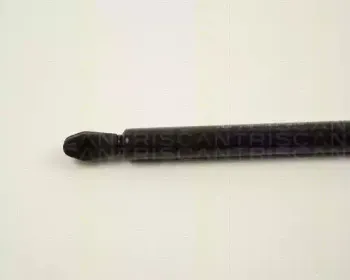 triscan-87102409