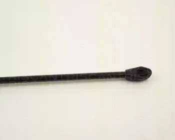 triscan-87102409