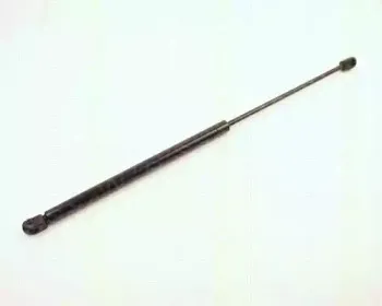 triscan-87102410