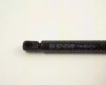 triscan-871024102