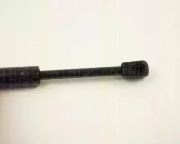 triscan-871024102