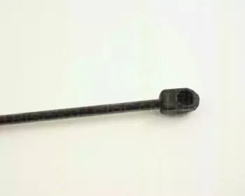 triscan-871024104