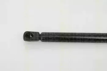 triscan-871024105