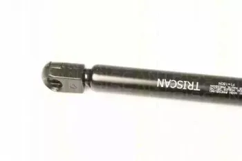 triscan-871024106