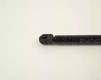 triscan-87102410