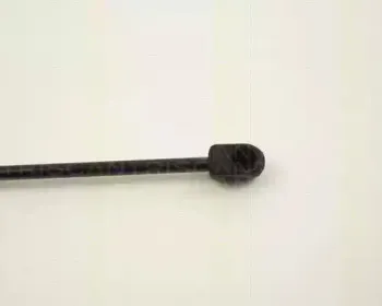triscan-87102410