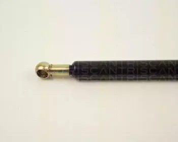 triscan-87102412
