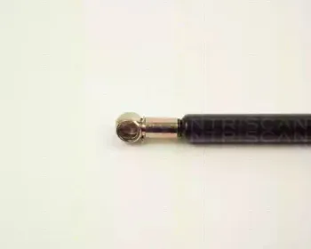triscan-87102414