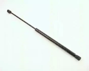 triscan-87102416