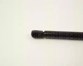triscan-87102416