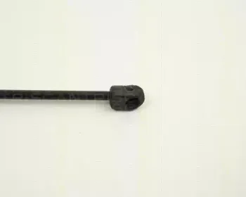 triscan-87102416