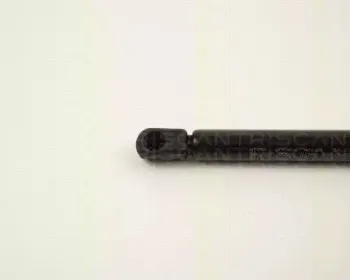 triscan-87102419