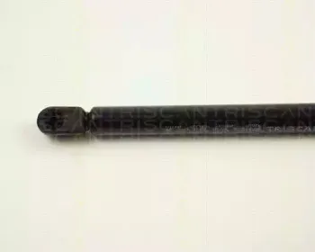 triscan-871024202