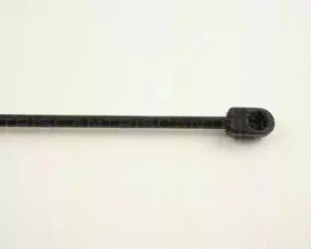 triscan-871024202