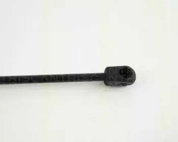 triscan-871024203