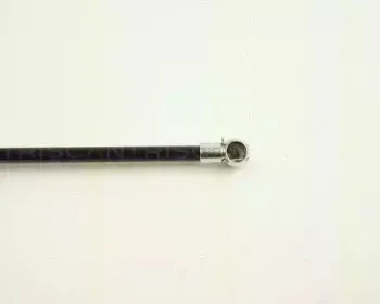 triscan-871024207