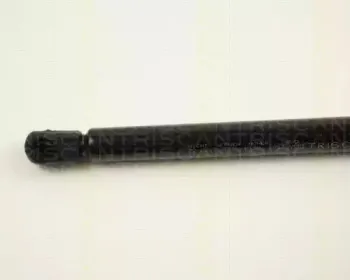triscan-871024208