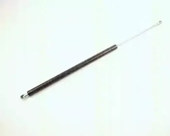 triscan-871024209