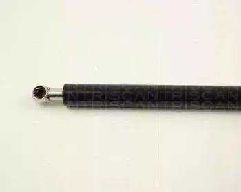 triscan-871024209