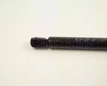 triscan-871024222