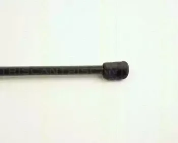 triscan-871024222