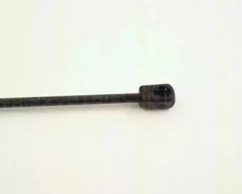 triscan-871024225