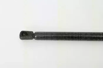 triscan-871024226
