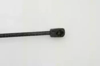 triscan-871024226