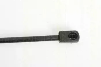 triscan-871024231