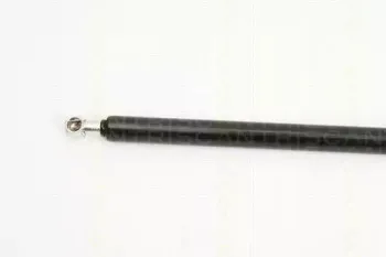 triscan-871024232