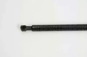 triscan-871024233