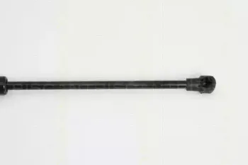 triscan-871024233
