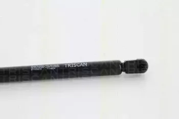 triscan-871024235