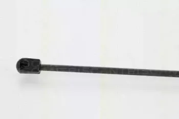 triscan-871024235