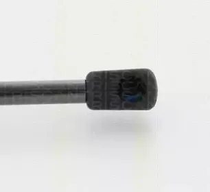 triscan-871024236