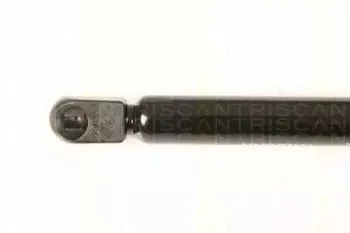 triscan-871024237