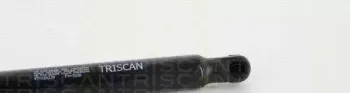 triscan-871024239