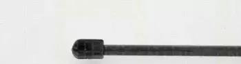 triscan-871024239