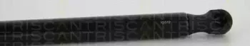 triscan-871024243