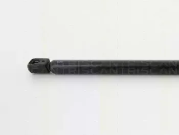 triscan-871024244