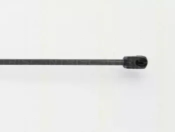 triscan-871024244