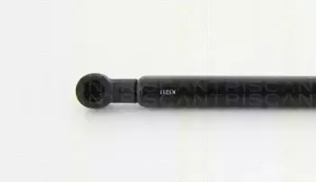 triscan-871024246