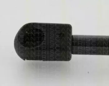 triscan-871024257