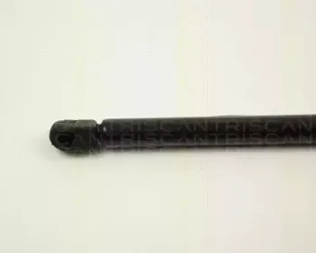 triscan-87102426