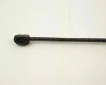 triscan-87102426