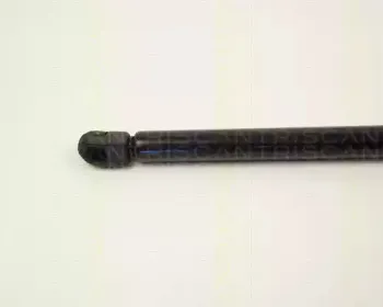 triscan-87102427