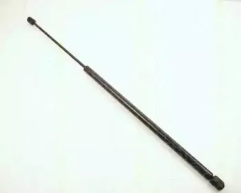triscan-87102428
